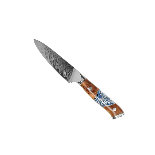 Japanisches Damascus Messer-Set – 9-teiliges Vielzweck-Set